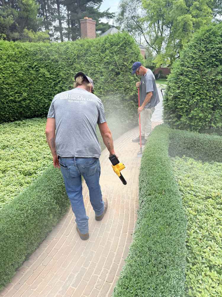 Two workers applying paver sealing treatment to a brick pathway between manicured hedges in Fond du Lac, Wisconsin